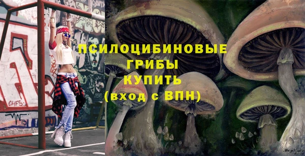дурь Арсеньев