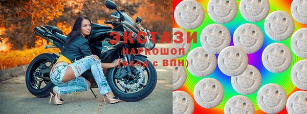 винт Щигры