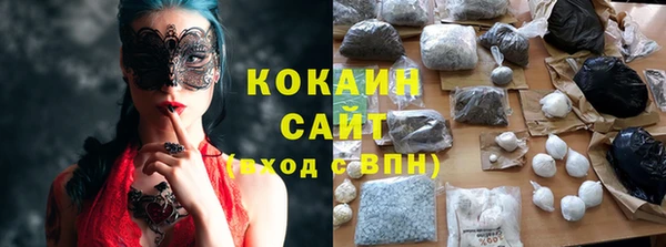 spice Алзамай