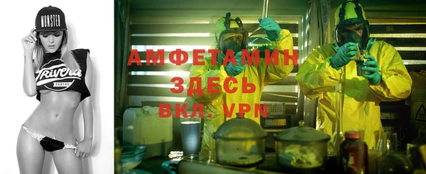 винт Щигры