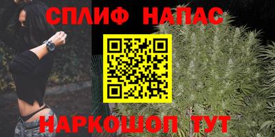 гашик Ачхой-Мартан