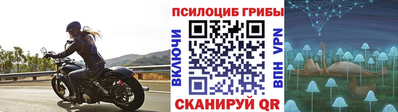 Галлюциногенные грибы Magic Shrooms  Копейск 