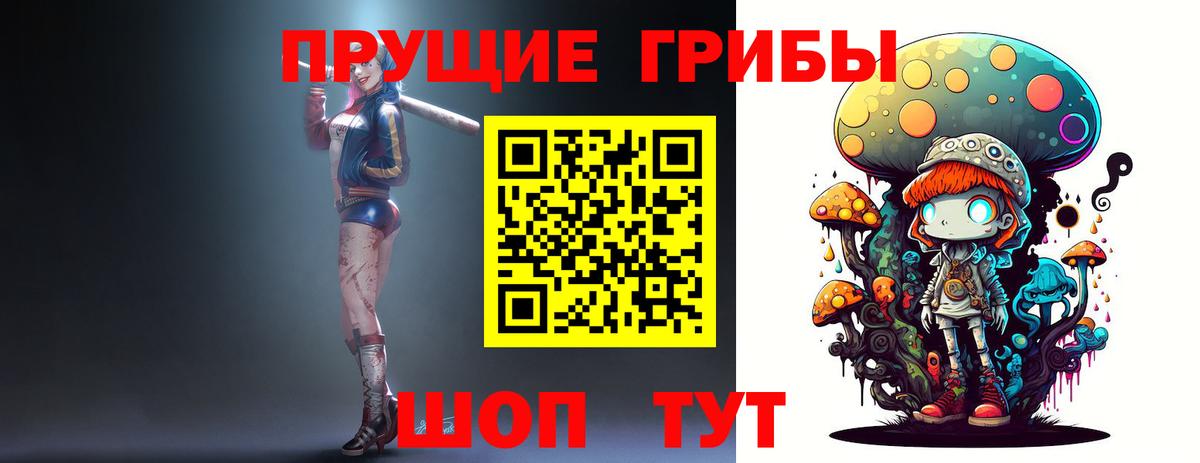 Псилоцибиновые грибы Cubensis Копейск