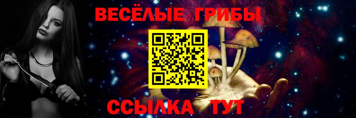 Галлюциногенные грибы Cubensis  Вход с VPN  Галлюциногенные грибы прущие грибы  Копейск 